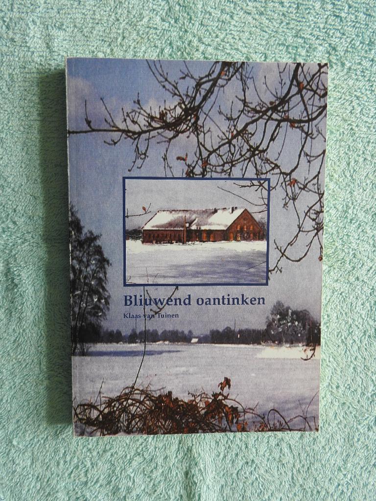 Klaas van Tuinen - Bliuwend oantinken - Stobbegat, Ophalen of Verzenden, Zo goed als nieuw