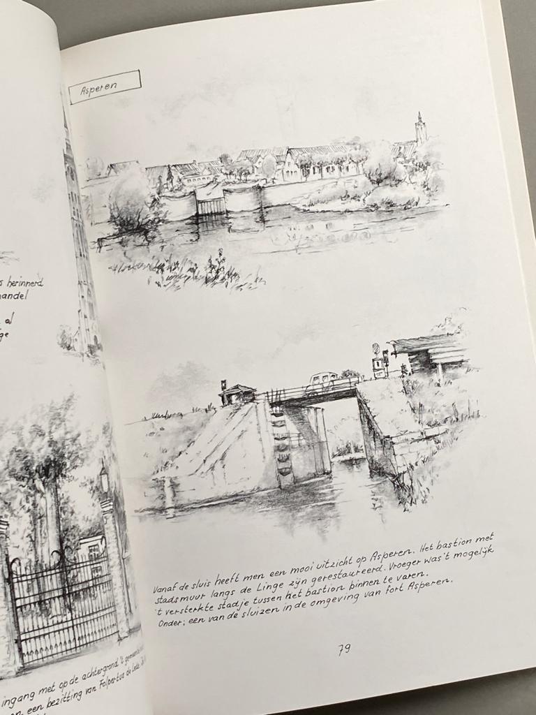 De Betuwe, land tussen rivieren (1992), Boeken, Geschiedenis | Stad en Regio, Ophalen of Verzenden, 20e eeuw of later, Zo goed als nieuw