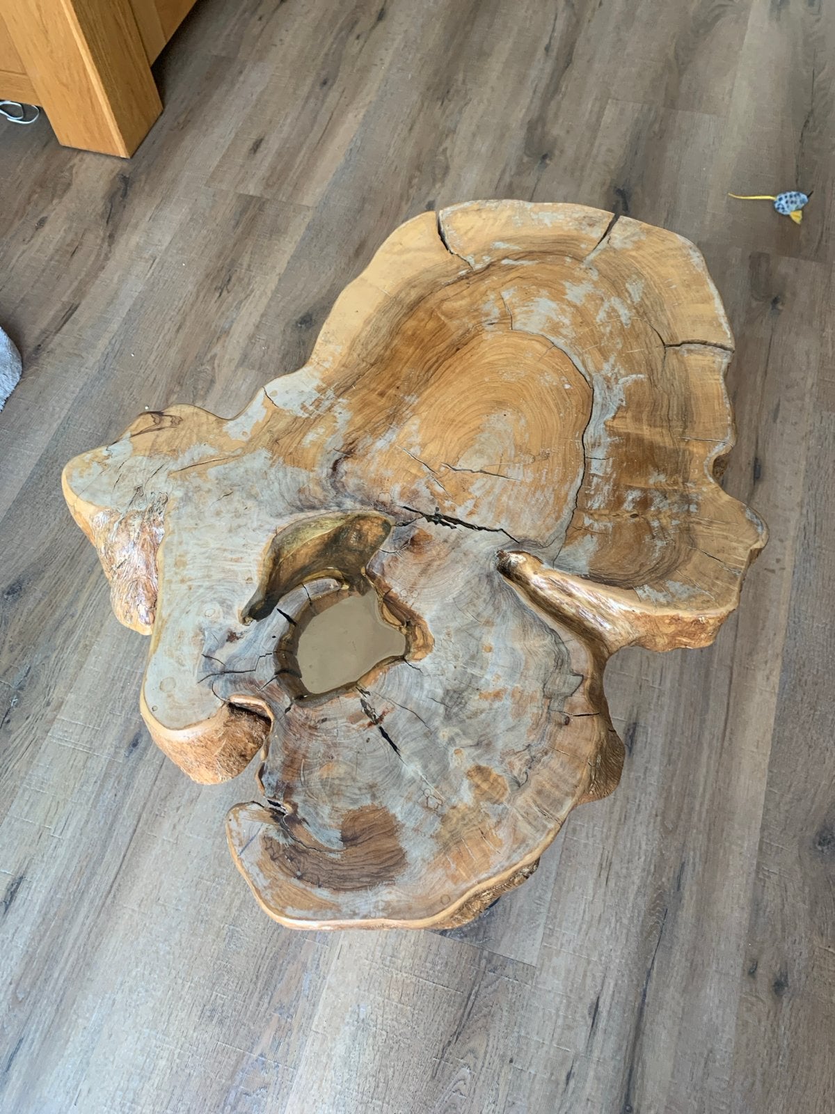 Unieke salontafel van boomstam met metalen poten, Ophalen, 50 – 75, Gebruikt, 50 tot 100 cm