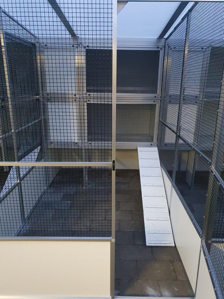 Konijnenpension en Caviapension, Dieren en Toebehoren, Konijnen, Meerdere dieren, Dwerg