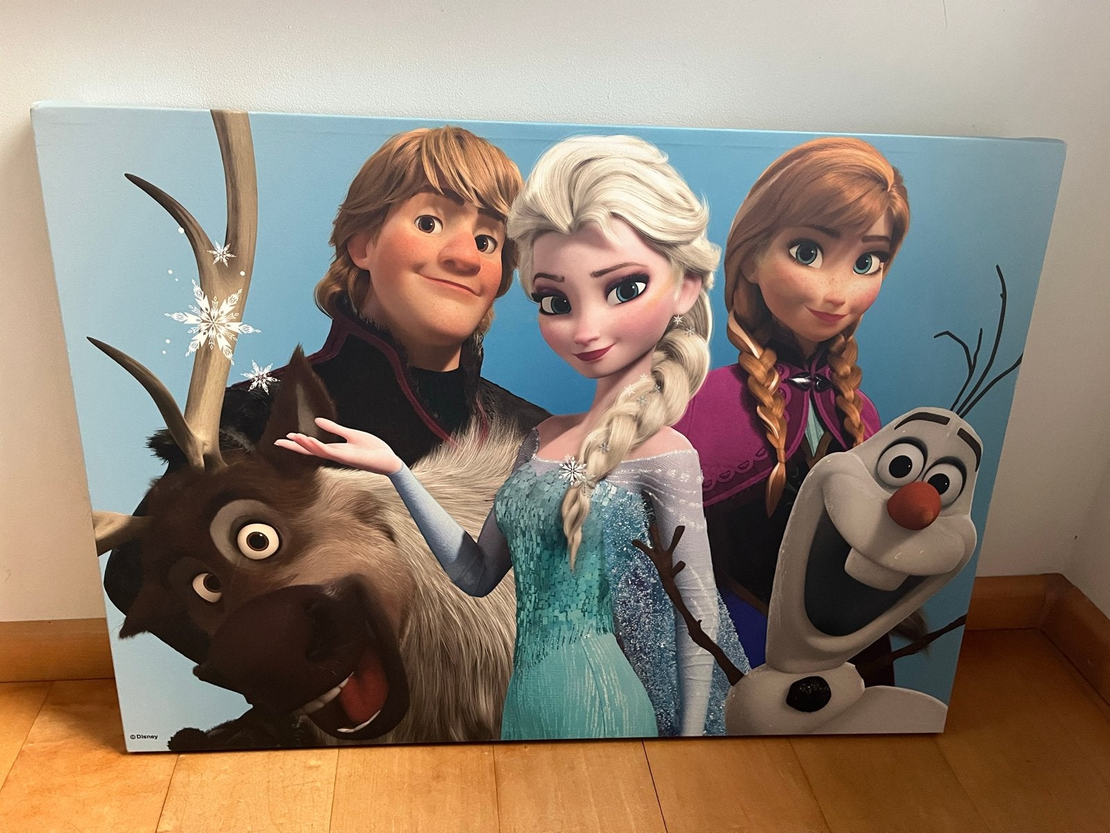Frozen Canvas Schilderij - 50x70 cm, 3cm dik, Ophalen, 50 – 75, Zo goed als nieuw, Schilderij