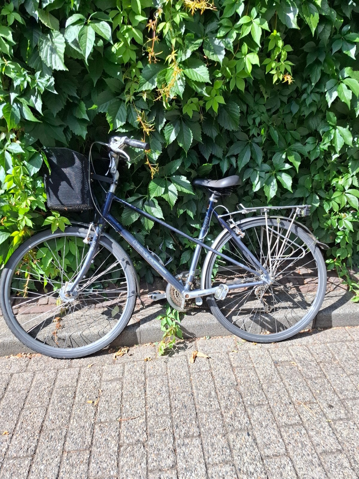 Koga Miyata damesfiets met versnellingen, Overige merken, Velgrem, Versnellingen, Ophalen of Verzenden