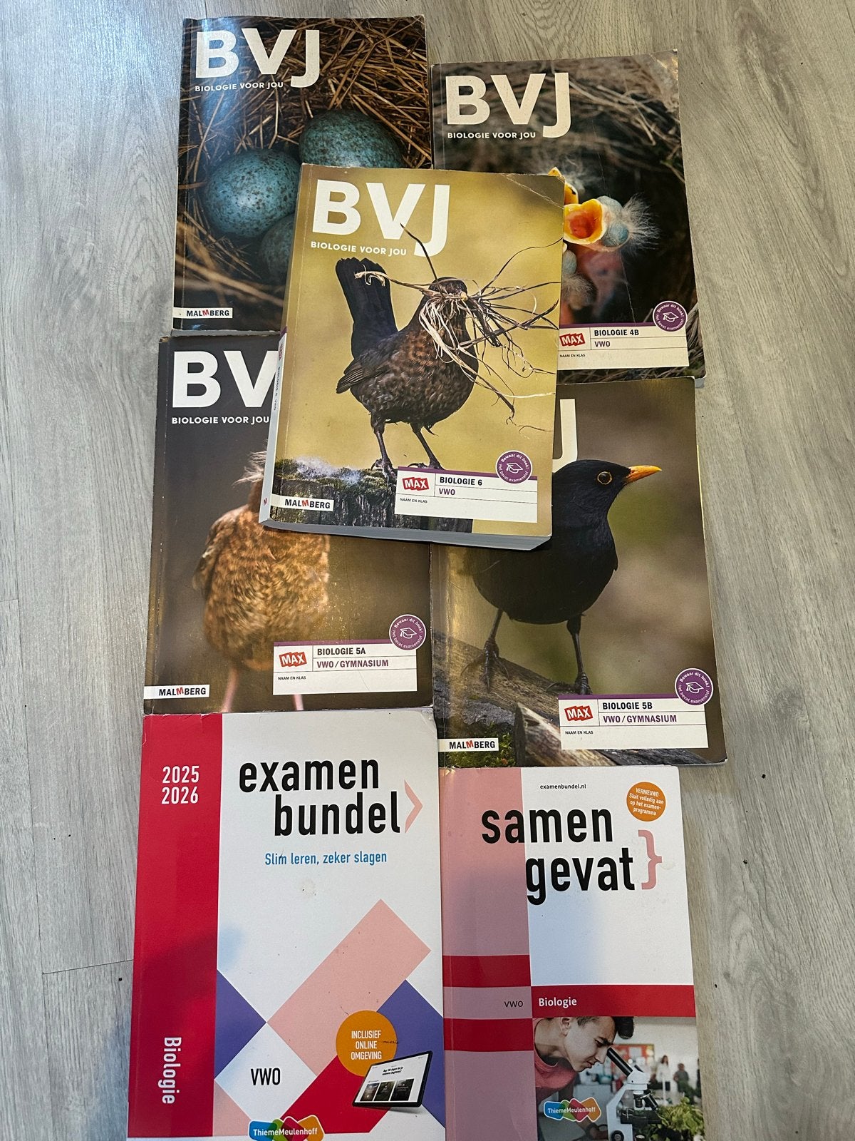 Biologie boeken VWO BVJ + examenbundel + samengevat, Boeken, Verzenden, Gelezen, VWO, Biologie