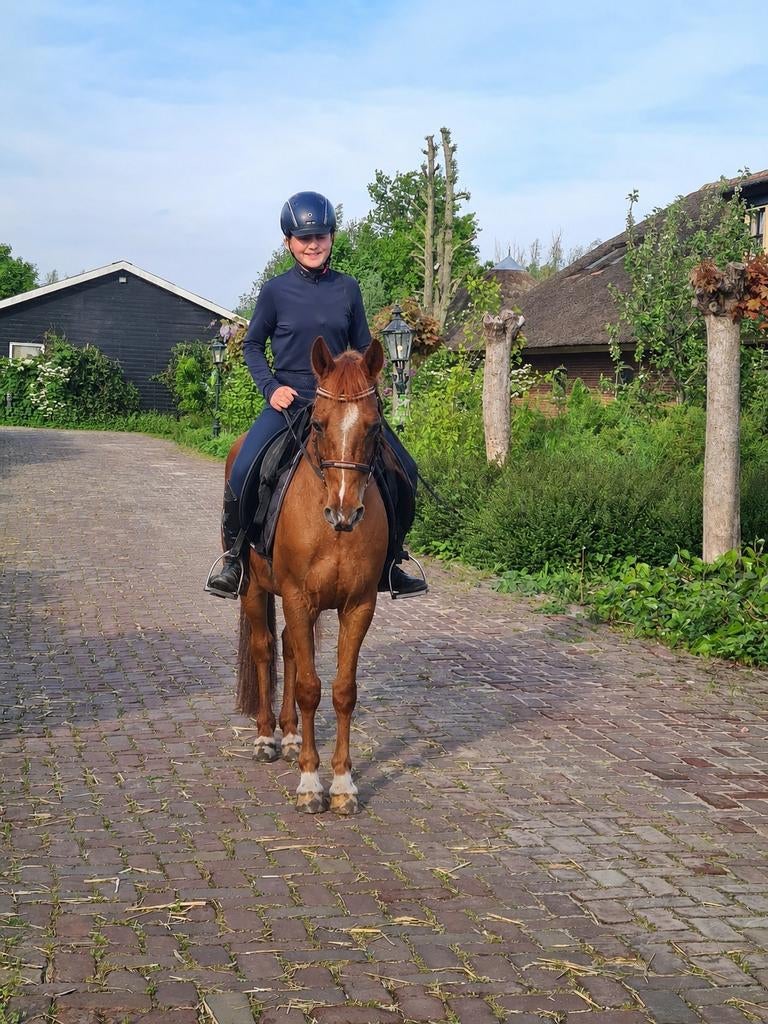 De Ideale kinder pony!!, Dieren en Toebehoren, Pony's, Ruin