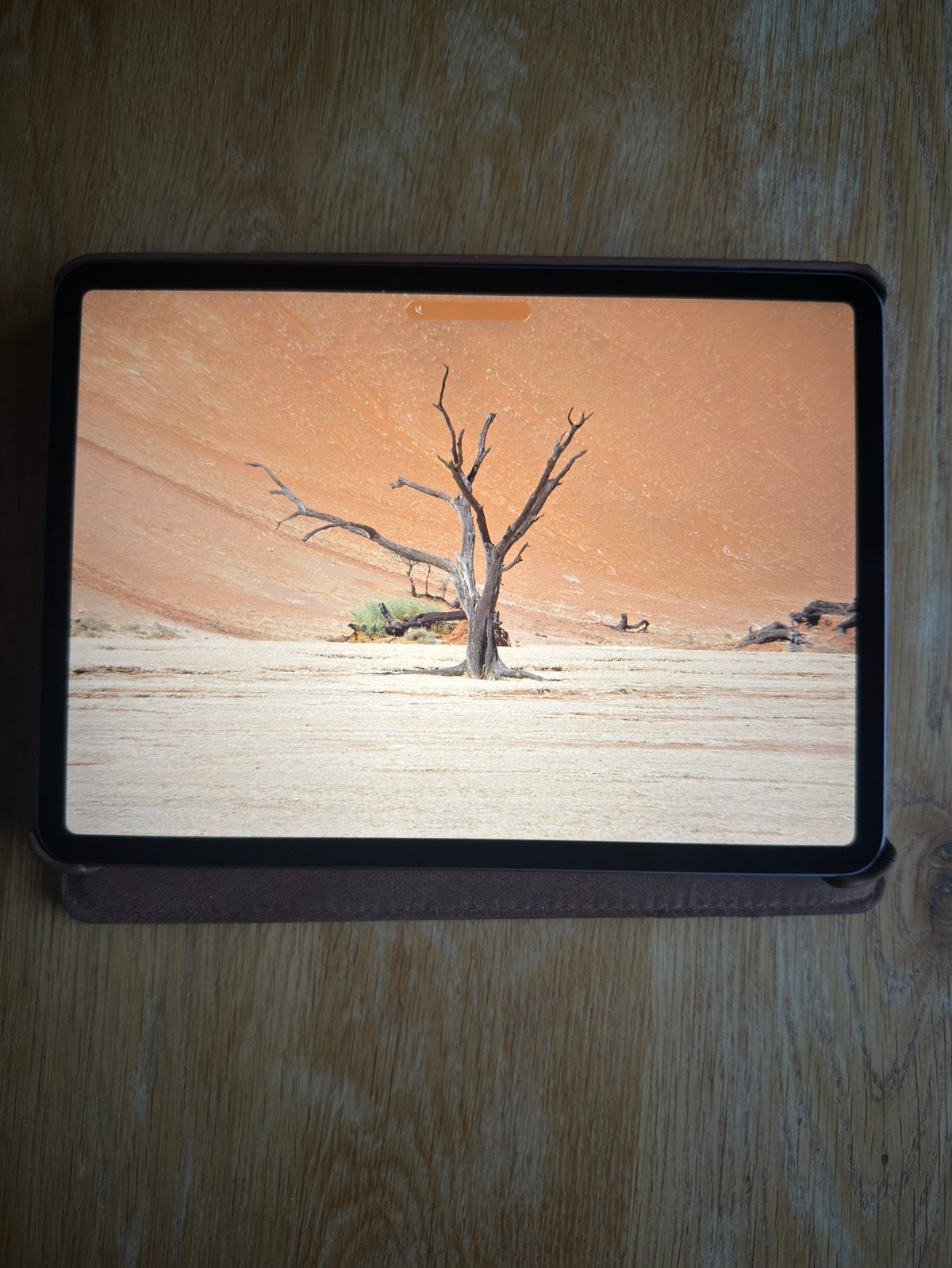 iPad Pro (11 inch, 2e generatie) 128 GB met hoesje, Computers en Software, Apple iPads, Ophalen, 11 inch, Zo goed als nieuw, Apple iPad Pro