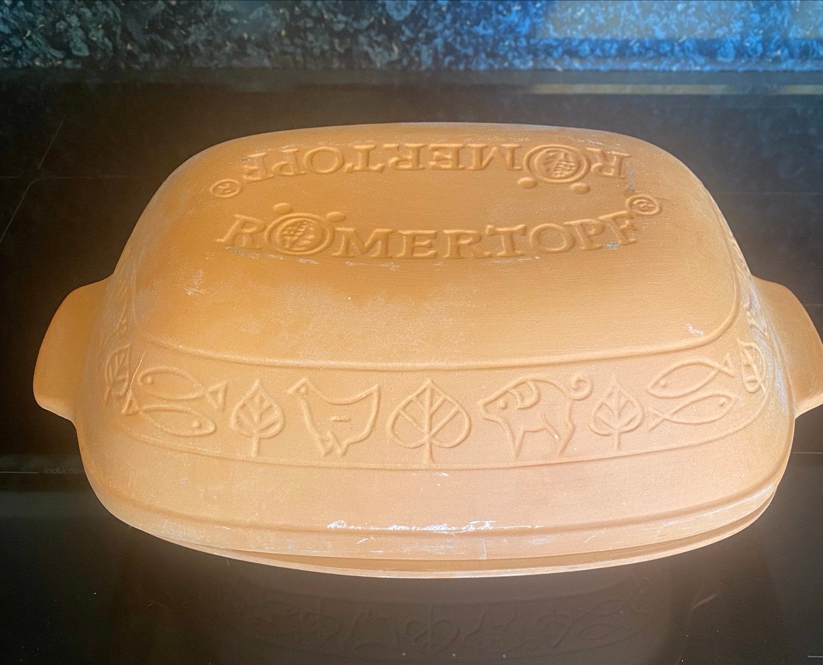 Römertopf met gebruiksaanwijzing - 31x19,5x15 cm, Ophalen, Overige typen, Zo goed als nieuw, Steen/keramiek