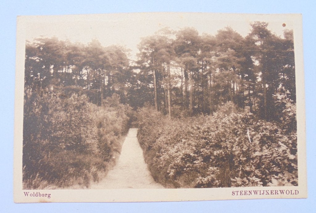 Steenwijkerwold De Woldberg (De Wissel)  met treinstempel., Verzamelen, Ophalen of Verzenden, 1920 tot 1940, Gelopen, Overijssel