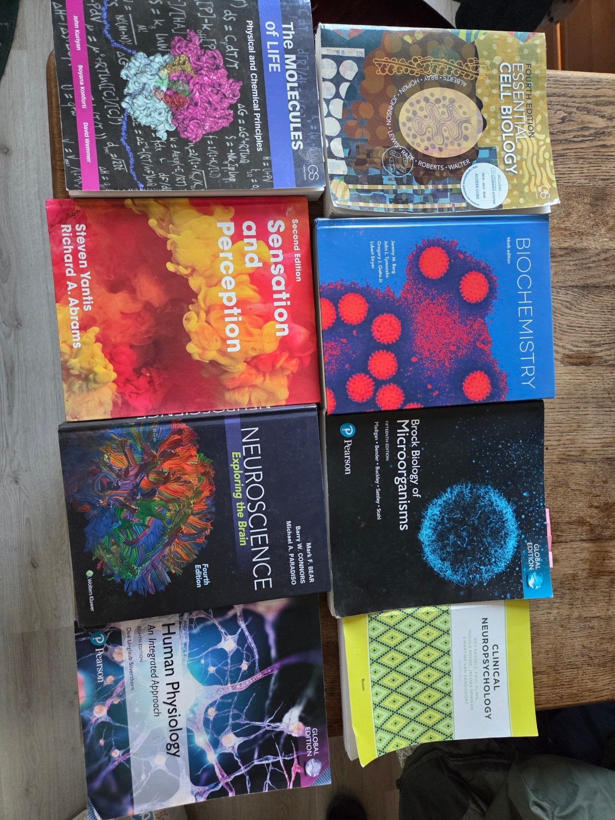 Biomedical/psychology- Studieboeken, Boeken, Ophalen of Verzenden, Beta, Zo goed als nieuw, WO