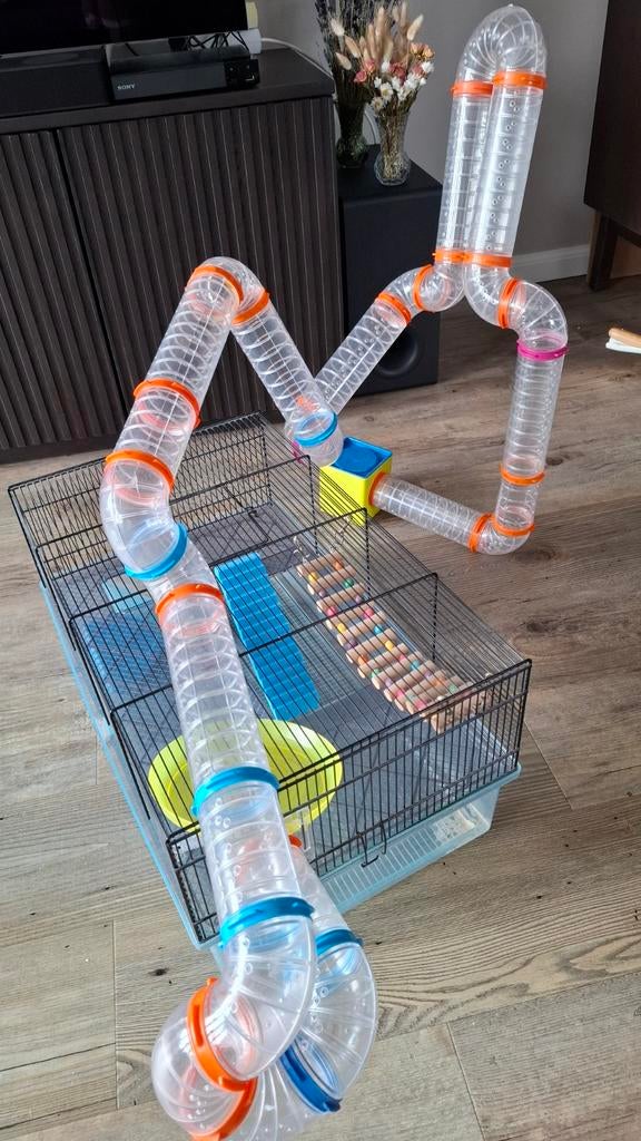 Hamsterhok met veel buizen, Minder dan 60 cm, Gebruikt, Minder dan 75 cm, Ophalen of Verzenden
