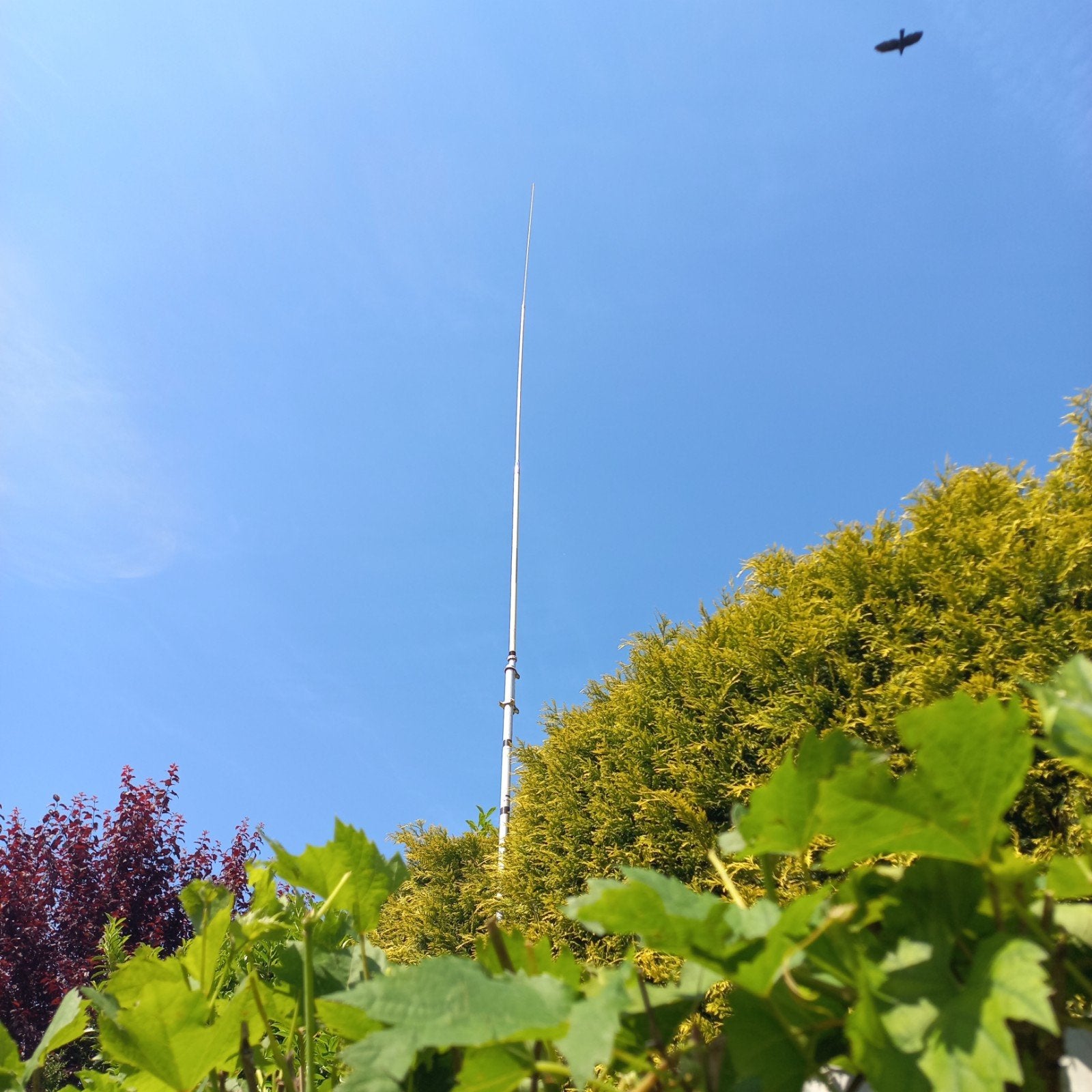 Antron 99., Ophalen, Antenne