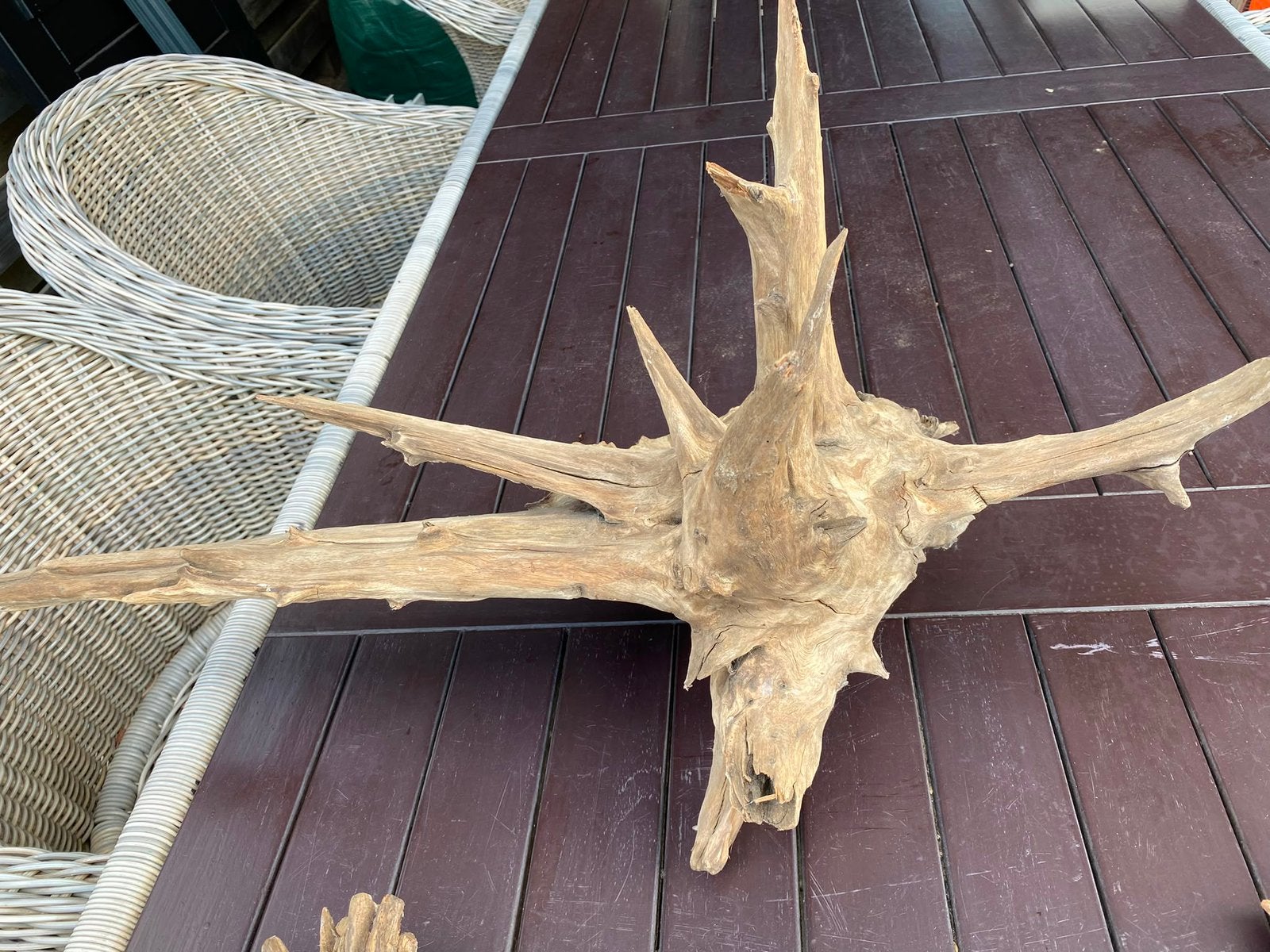 Aquarium hout, Ophalen, Gebruikt, Plant(en), Steen of Hout