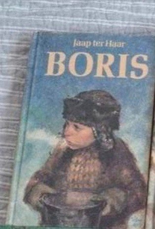 Boris - Spannend fictieboek van Jaap ter Haar (Gelezen), Boeken, Avontuur en Actie, Gelezen, Ophalen of Verzenden