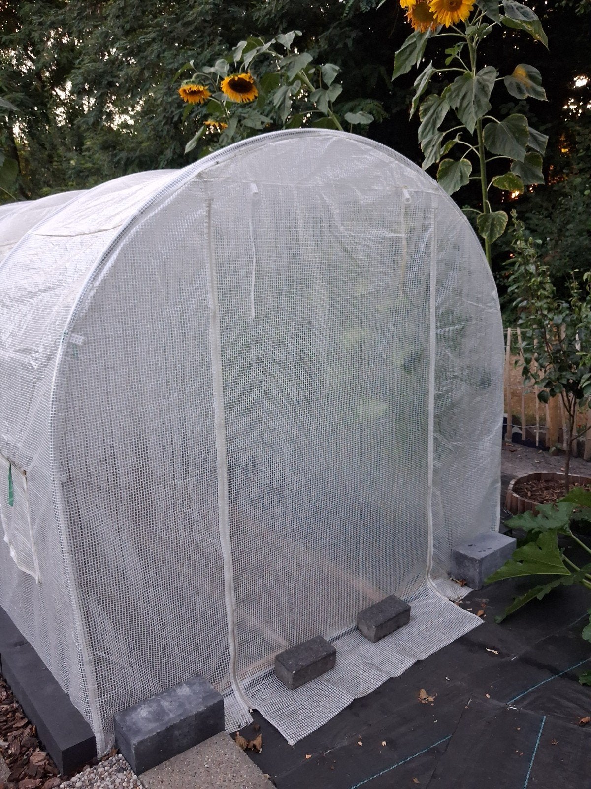 Tuinkas - Broeikas - Plantenkas - Folie, Tuin en Terras, Ophalen, Folie, Kweekkas, Zo goed als nieuw