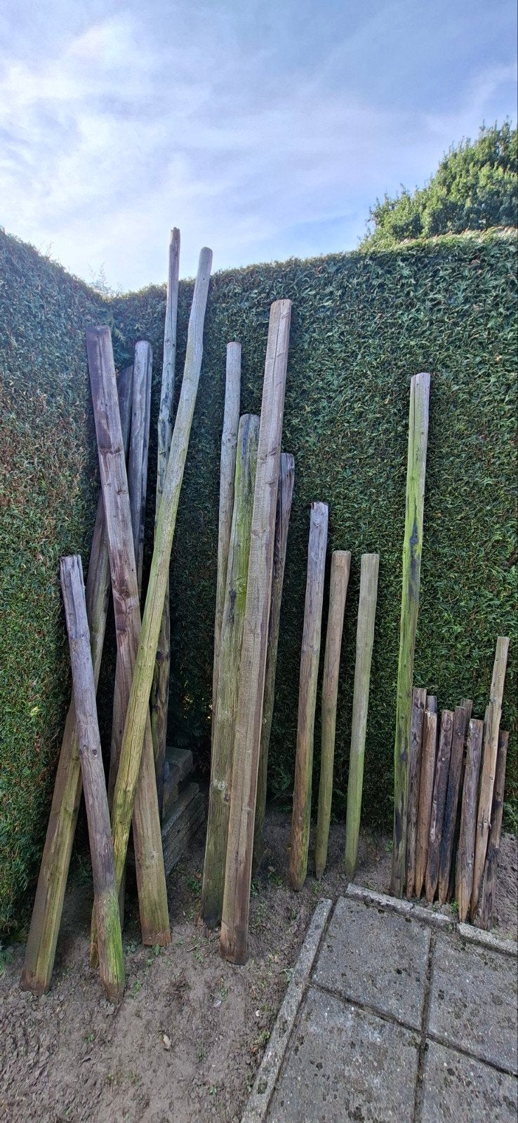 gecreosoteerde palen/hout, Ophalen, Gebruikt, 250 cm of meer, Palen