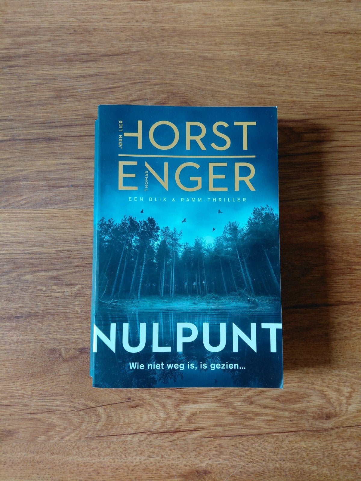 Thriller • Jørn Lier Horst & Thomas Enger - Nulpunt, Ophalen of Verzenden, Zo goed als nieuw, Jørn Lier Horst & Thomas Enger