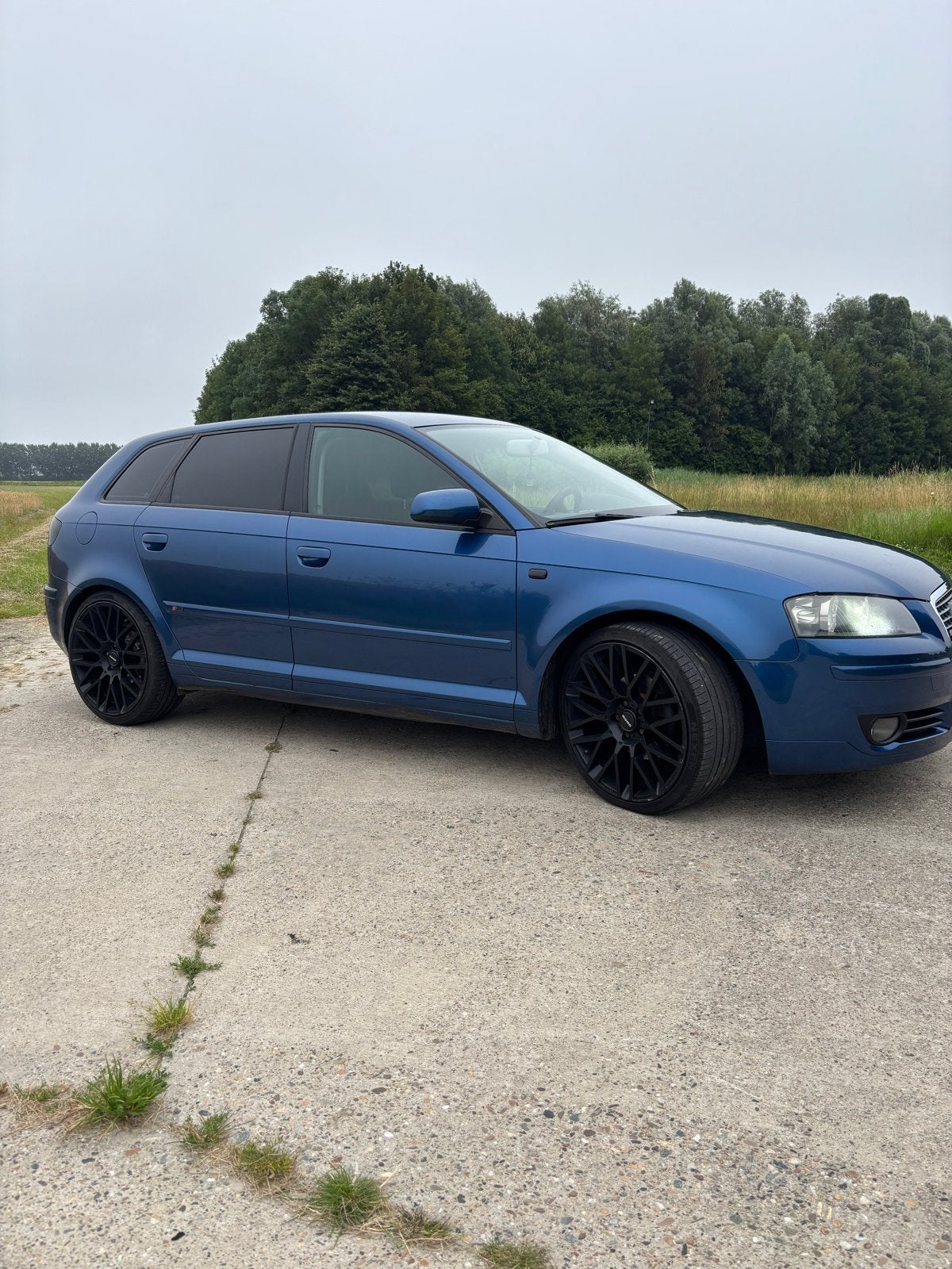 Audi A3 1.4 Tfsi, Auto's, Voorwielaandrijving, 680 kg, 4 cilinders, Blauw