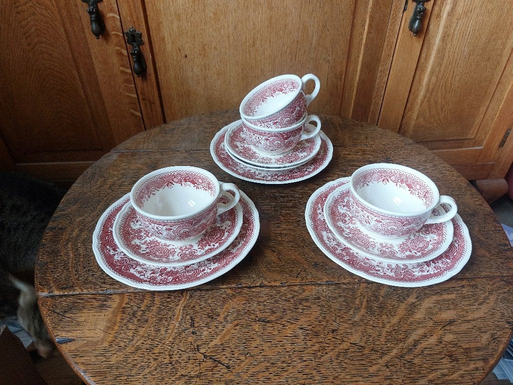 Servies Villeroy en Boch Burgenland Rood, Antiek en Kunst, Ophalen of Verzenden