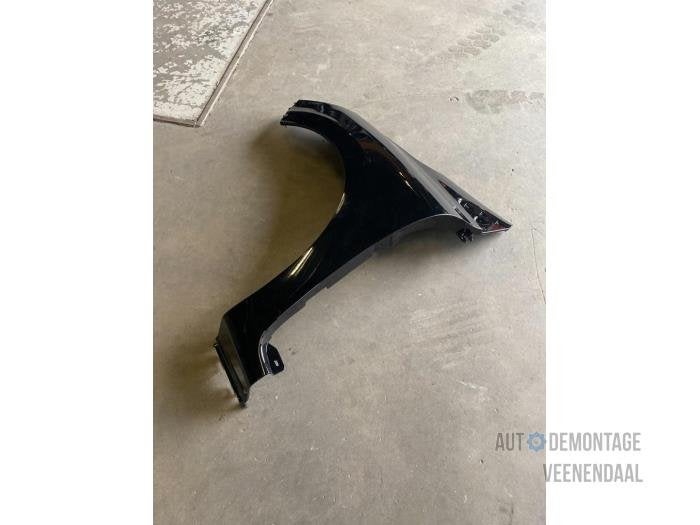 Scherm links-voor van een Renault Clio (TEGNE), -, Renault, -, Nieuw