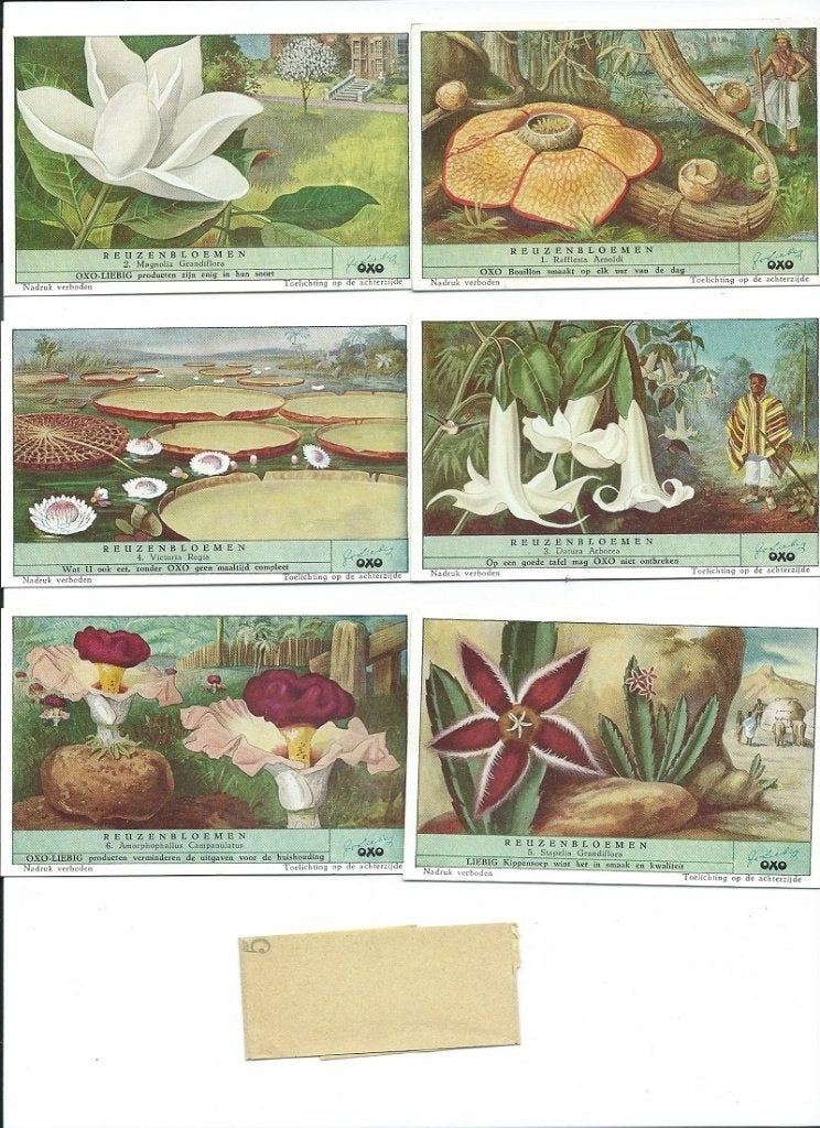 10 set OXO plaatjes + nieuwsbrief OXO, Ophalen of Verzenden, Zo goed als nieuw, Meerdere plaatjes