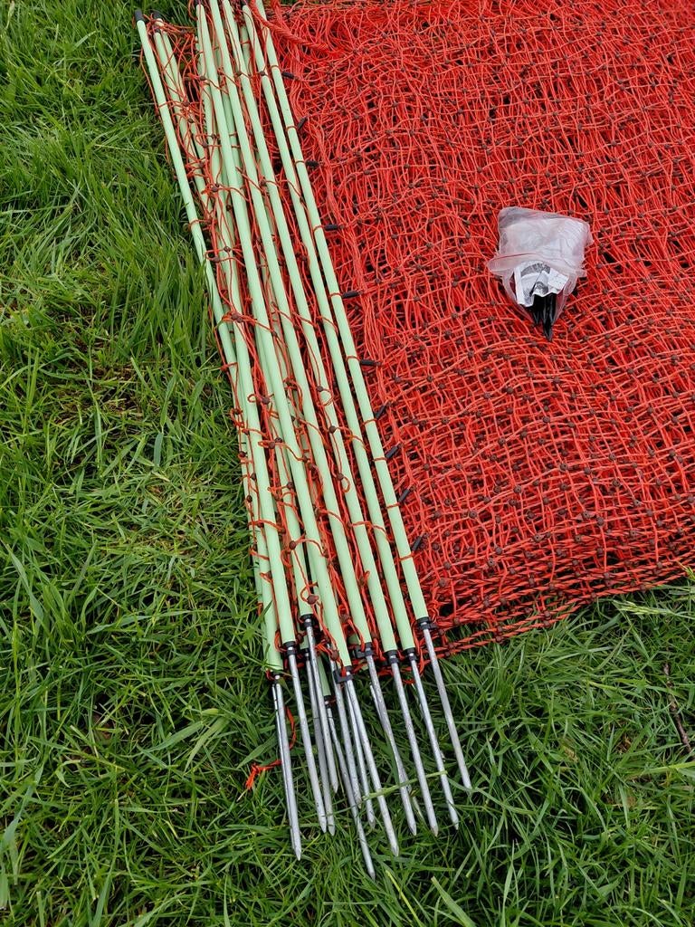 Schapennet, Dieren en Toebehoren, Mannelijk, Schaap