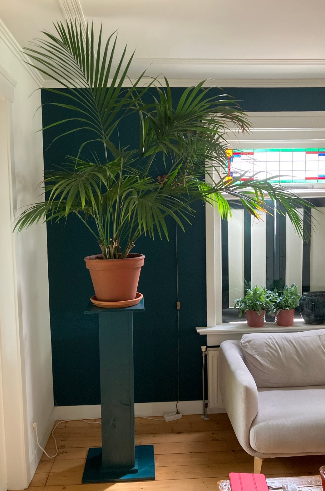 Grote Kentia Palm met Aardenwerk Pot en Houten Standaard, Huis en Inrichting, Kamerplanten, Ophalen, 100 tot 150 cm, Palm, Halfschaduw