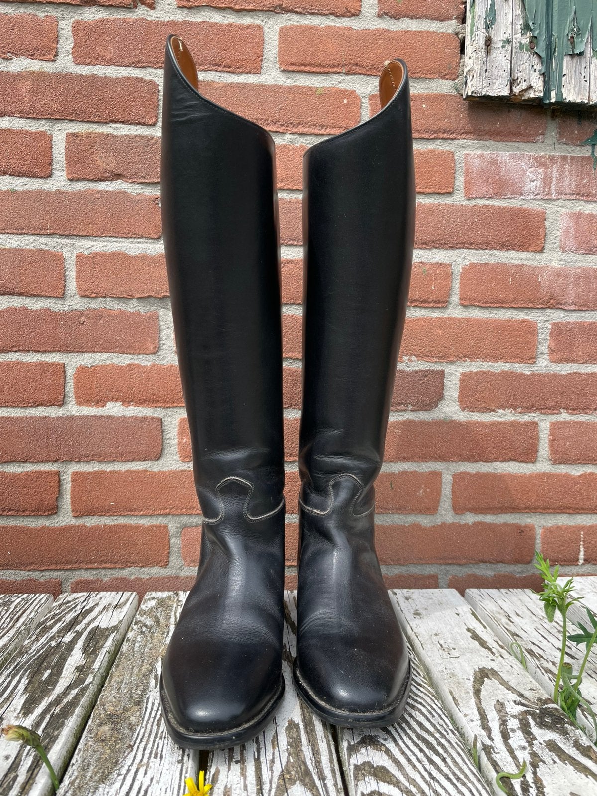 Petrie model Anky dressuur rijlaarzen maat 35/36, Ophalen of Verzenden, Zo goed als nieuw, Schoeisel, Kinderen