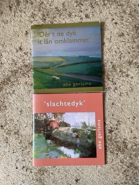 2 boeken met schilderkunst van Abe Gerlsma, Uitgave Galerie de Roos van Tudor, Nieuw, Ophalen of Verzenden, Schilder- en Tekenkunst