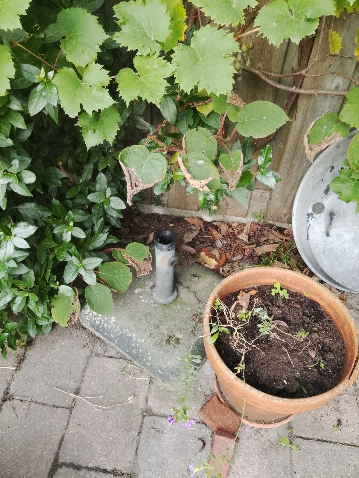 parasol standaard, Ophalen, Gebruikt, Minder dan 1 meter, Parasolvoet