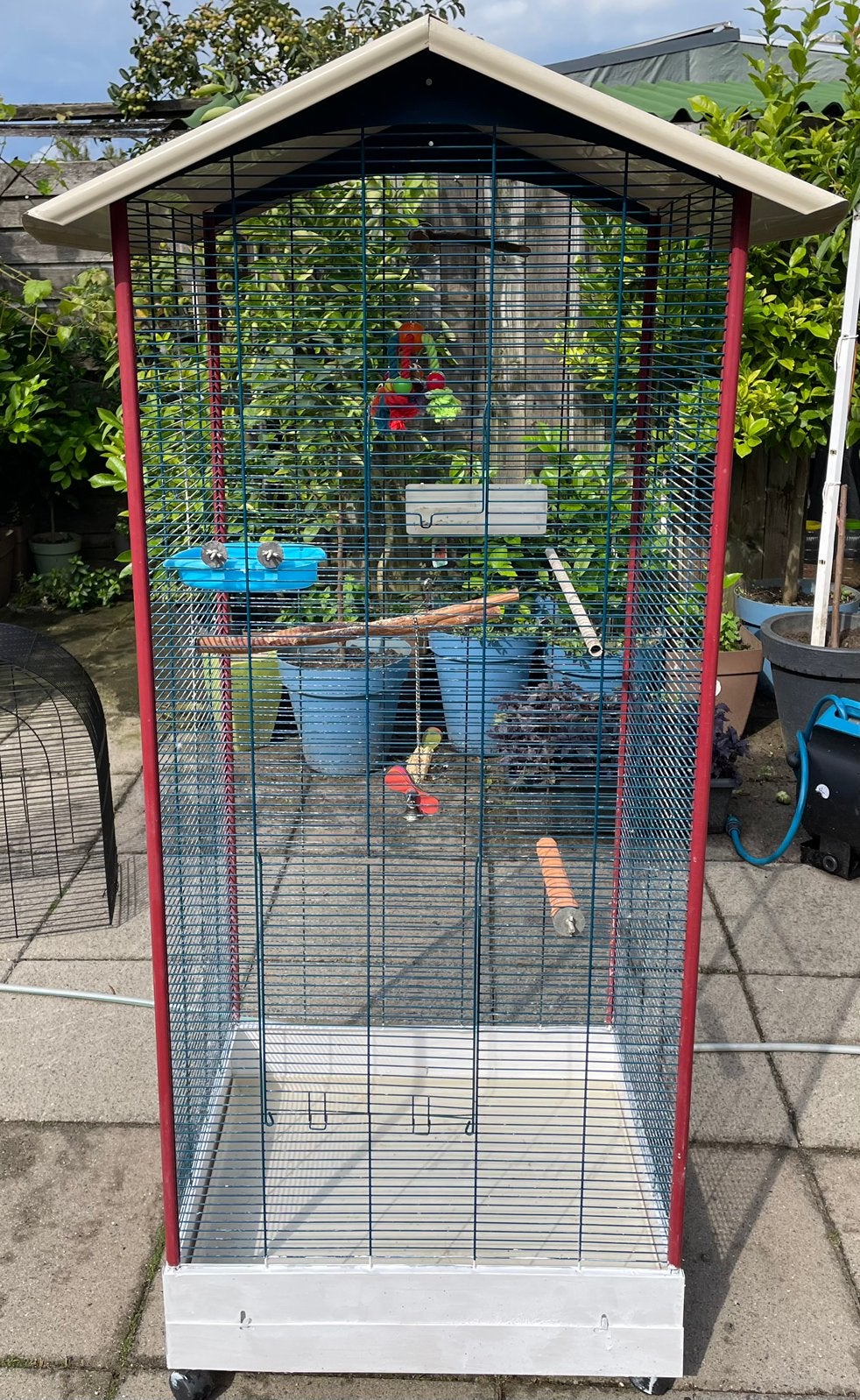 Gebruikte grote vogelkooi met toebehoren en spellen te koop, Ophalen, Gebruikt, Metaal, Vogelkooi