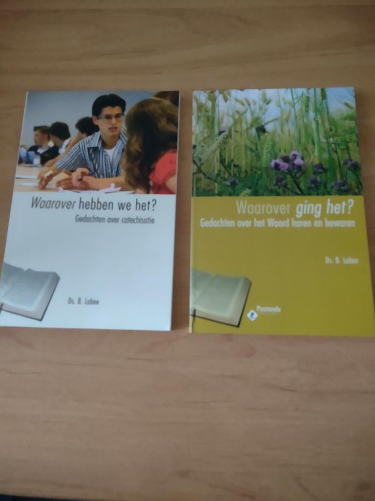 Waarover hebben we het?/Waarover ging het?- Ds B Labee, Boeken, Godsdienst en Theologie, Zo goed als nieuw, Christendom | Protestants