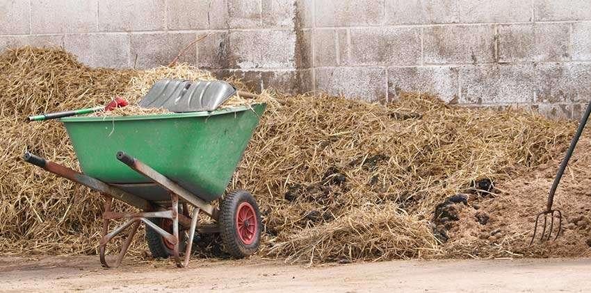 Stalhulp voor weekend., Diensten en Vakmensen