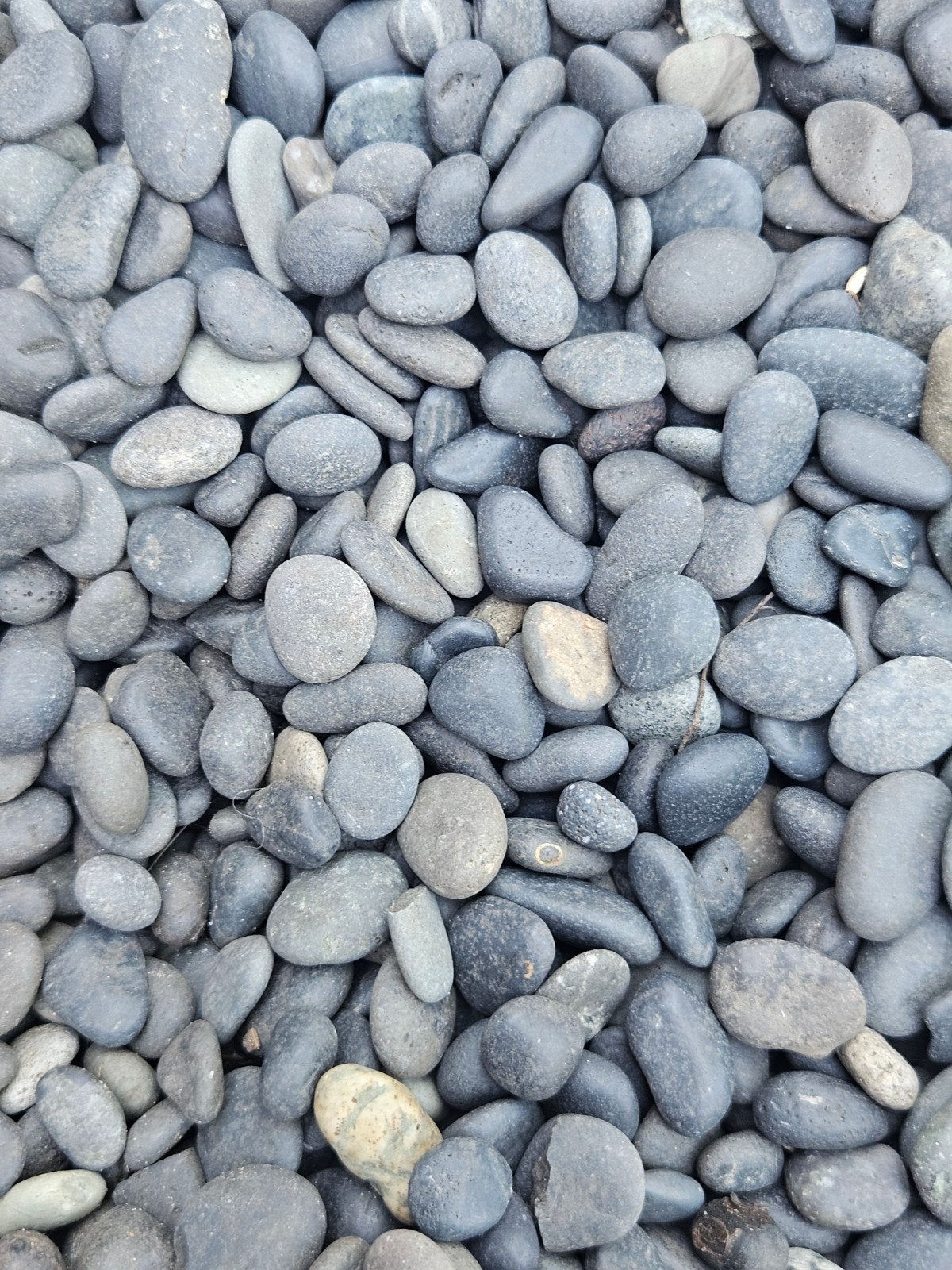 Kiezelstenen/ Beach Pebbles 8-16 mm, Ophalen, Gebruikt, Antraciet, Kei