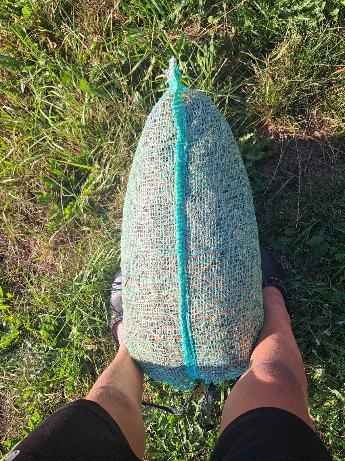 Zakjes hooi te koop, Ophalen, Vee