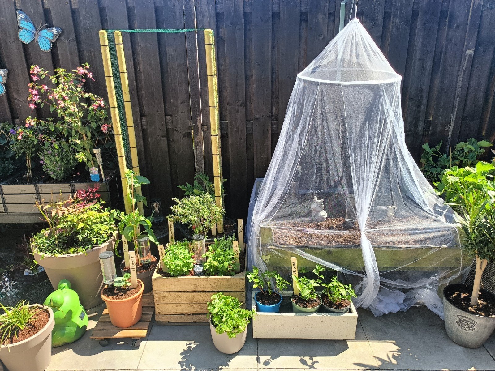 Gezocht: moestuin benodigdheden om te recyclen en upcyclen., Tuin en Terras, Ophalen, Halfschaduw