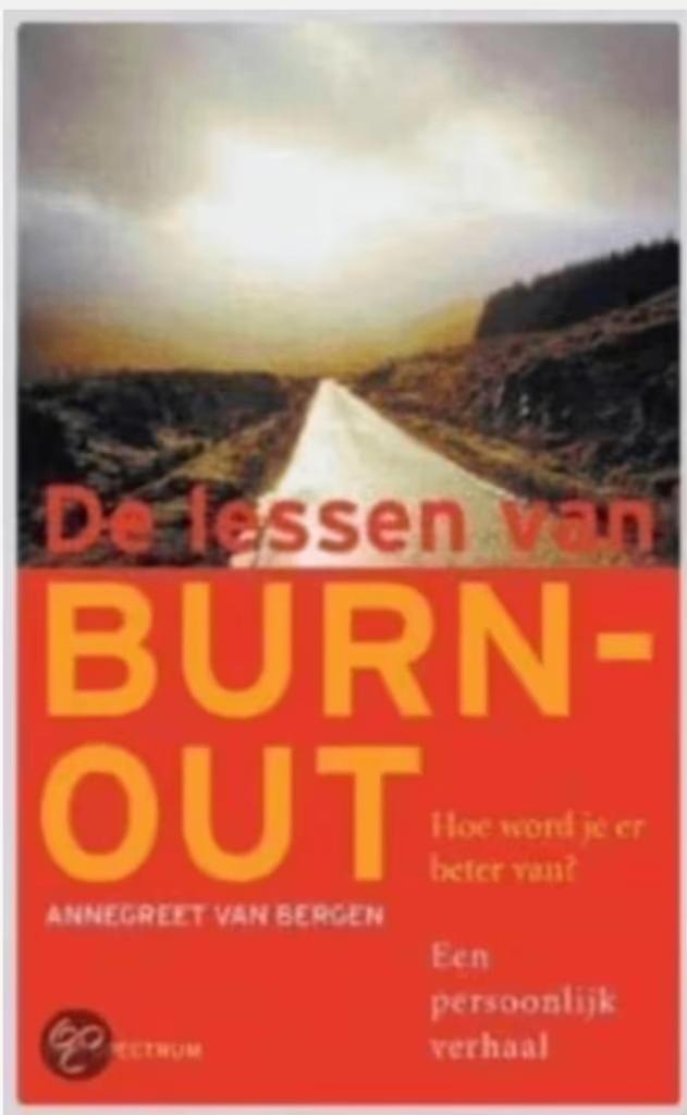 De lessen van BURN-OUT (hoe word je er beter van?), Ophalen of Verzenden, Zo goed als nieuw