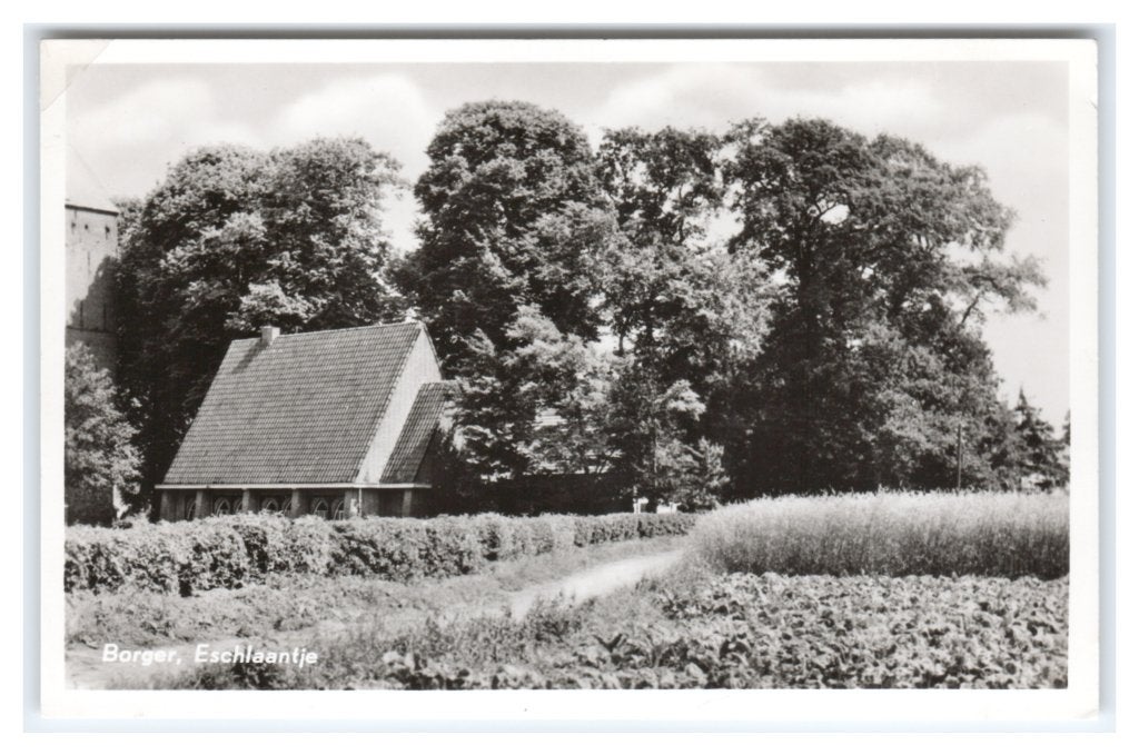 Borger, Eschlaantje, Ophalen of Verzenden, 1940 tot 1960, Ongelopen, Drenthe