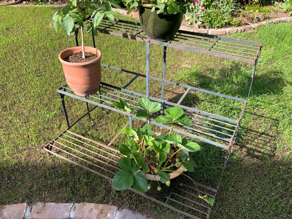 Prachtig brocante plantenrek, plantentrap, etagère, Ophalen, Gebruikt