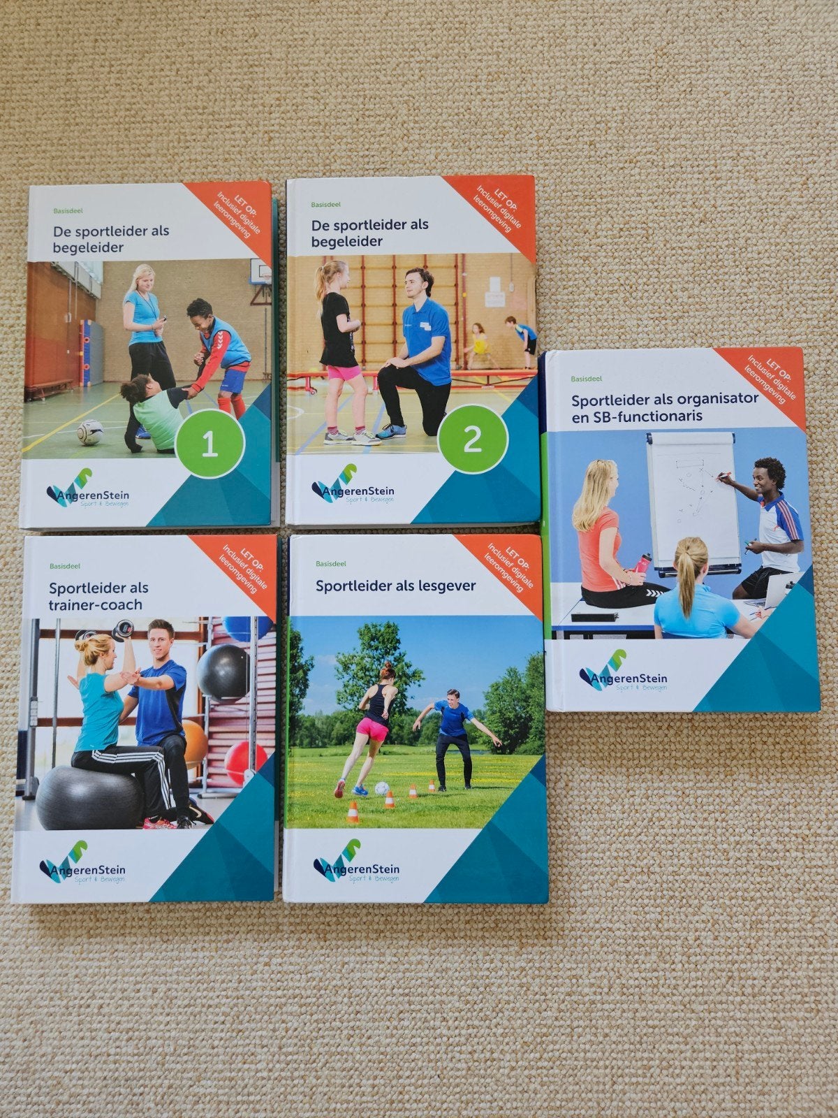 Angerenstein Sport & Bewegen boeken (MBO), Boeken, Ophalen of Verzenden, Zo goed als nieuw, MBO, Angerenstein