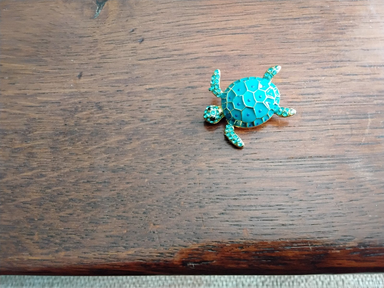 Mooie schildpad, Ophalen of Verzenden, Zo goed als nieuw, Staal