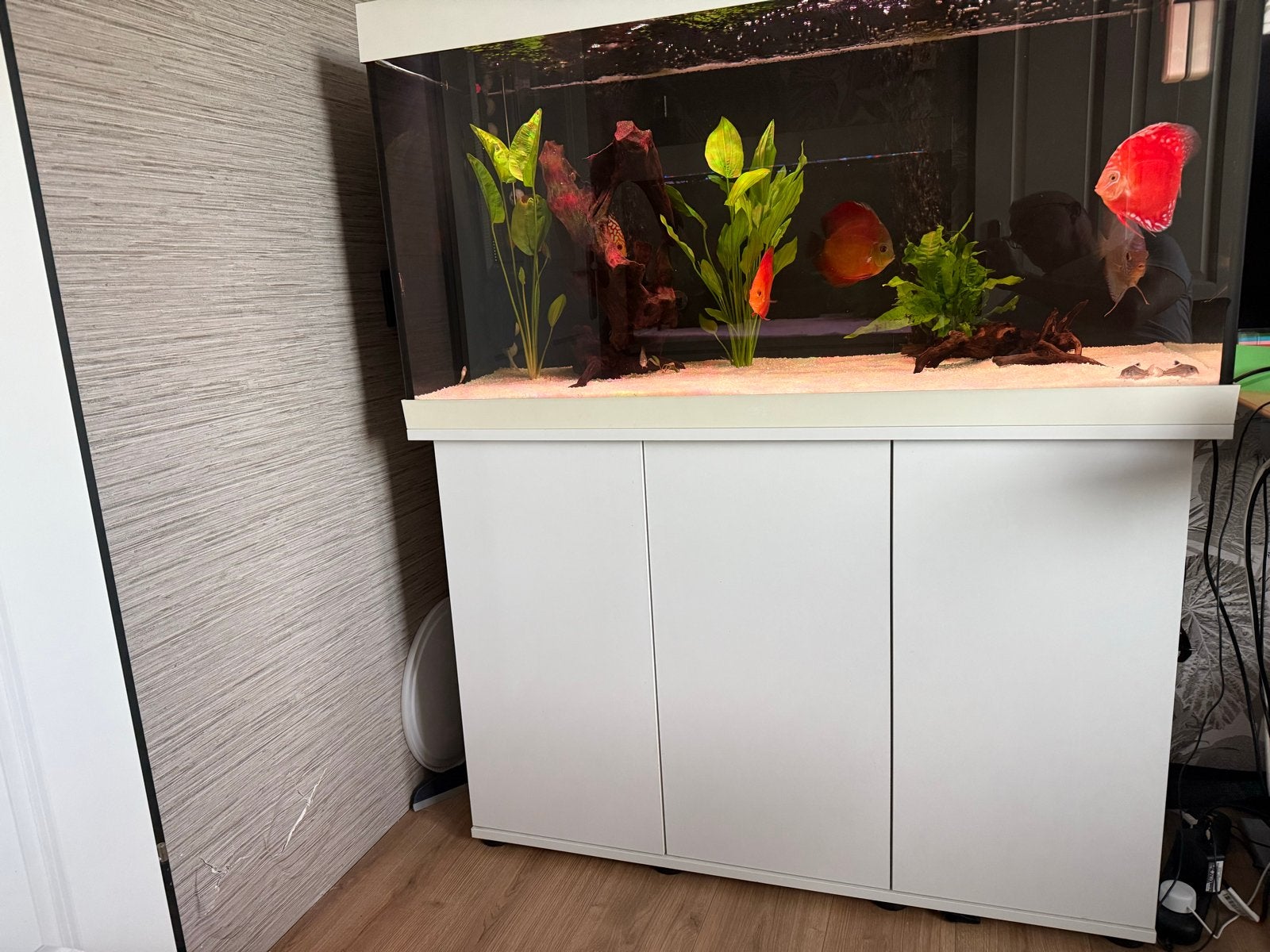 Nette Juwel Rio Aquarium, Dieren en Toebehoren, Ophalen, Gebruikt, Leeg aquarium, Inclusief controller