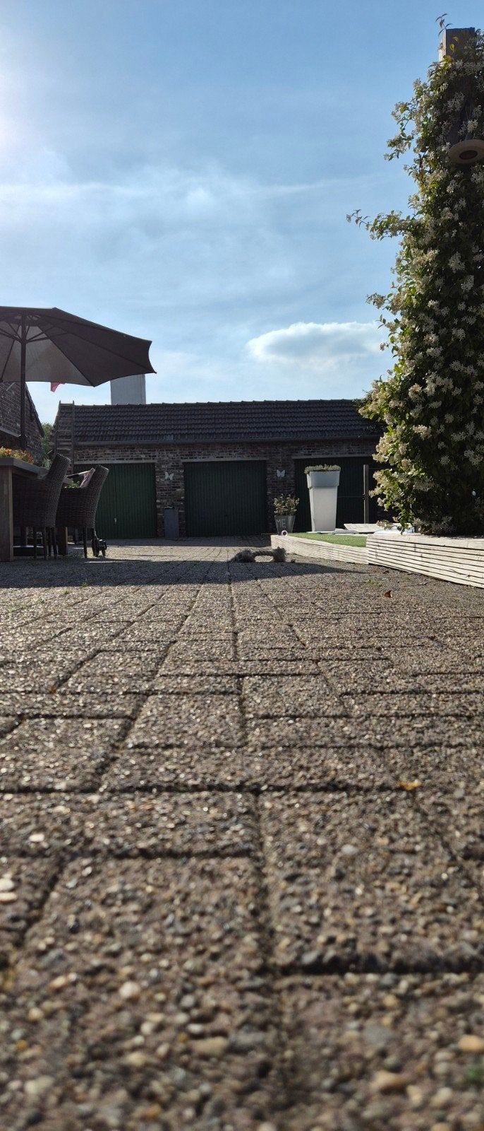 Gebruikte betonnen klinkers voor oprit of terras, Tuin en Terras, Tegels en Klinkers, Ophalen, Gebruikt, Beton, Klinkers
