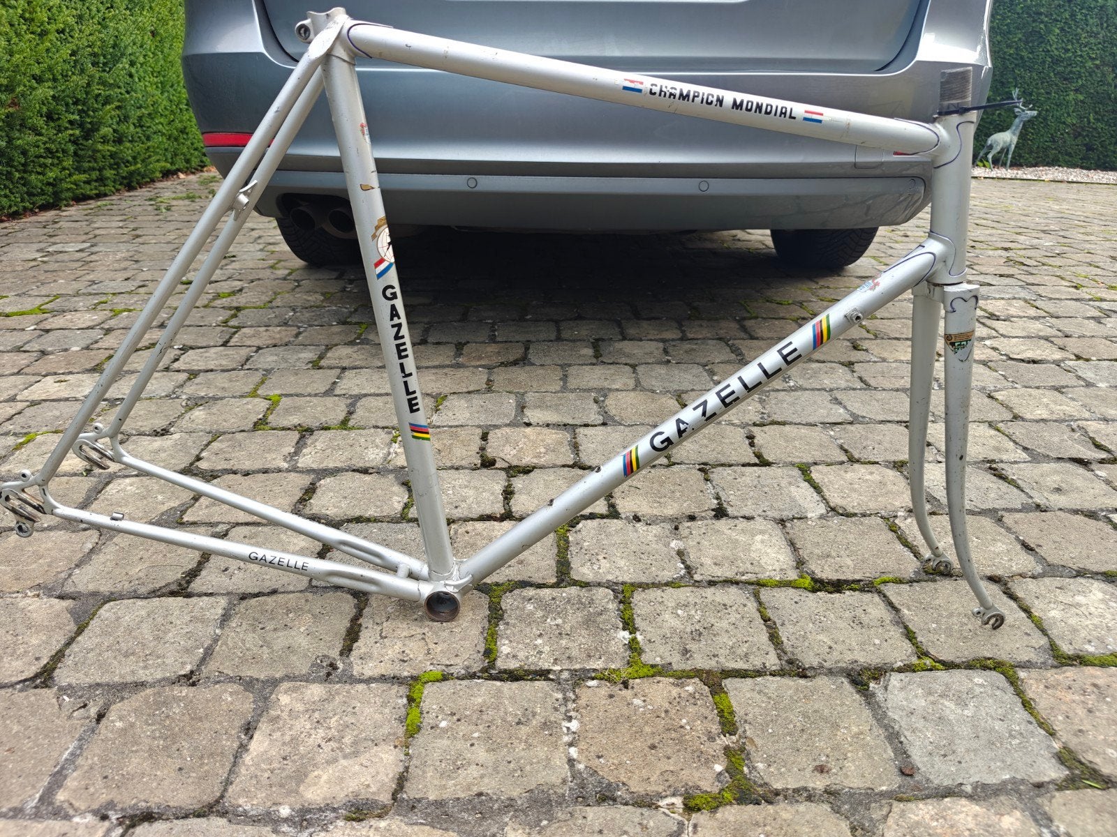 gazelle Champion mondial koersframe maat 58 ct, Ophalen