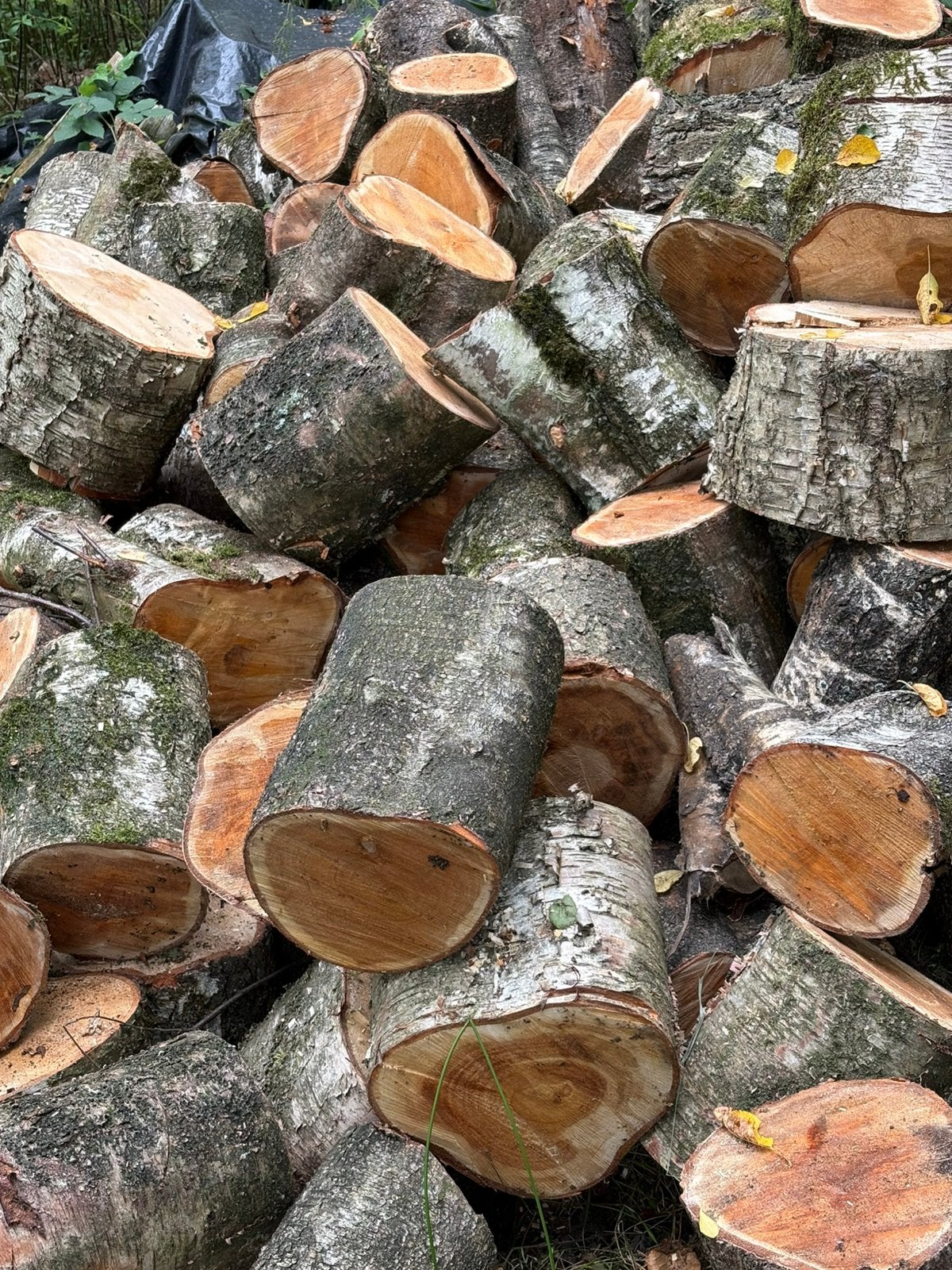 Haardhout Brandhout Kachelhout blokken ( omgeving Oldenzaal, Tuin en Terras, Minder dan 3 m³, Ophalen