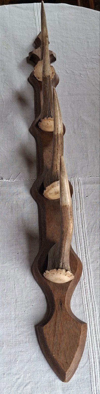 plank met hoorntjes, Antiek en Kunst, Ophalen of Verzenden
