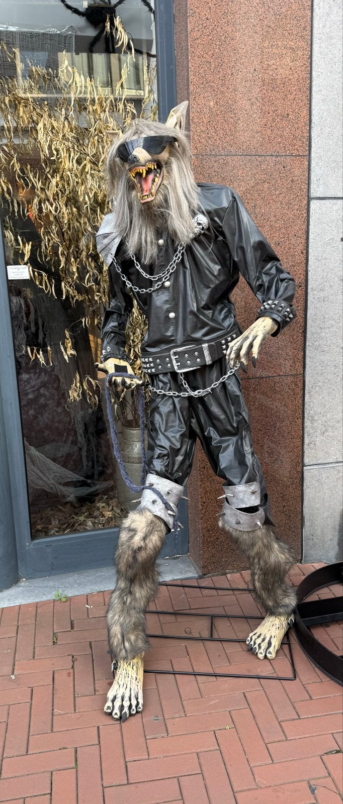 Grote Halloween Wolf Decoratie - 2 meter hoog, Ophalen of Verzenden, Gebruikt