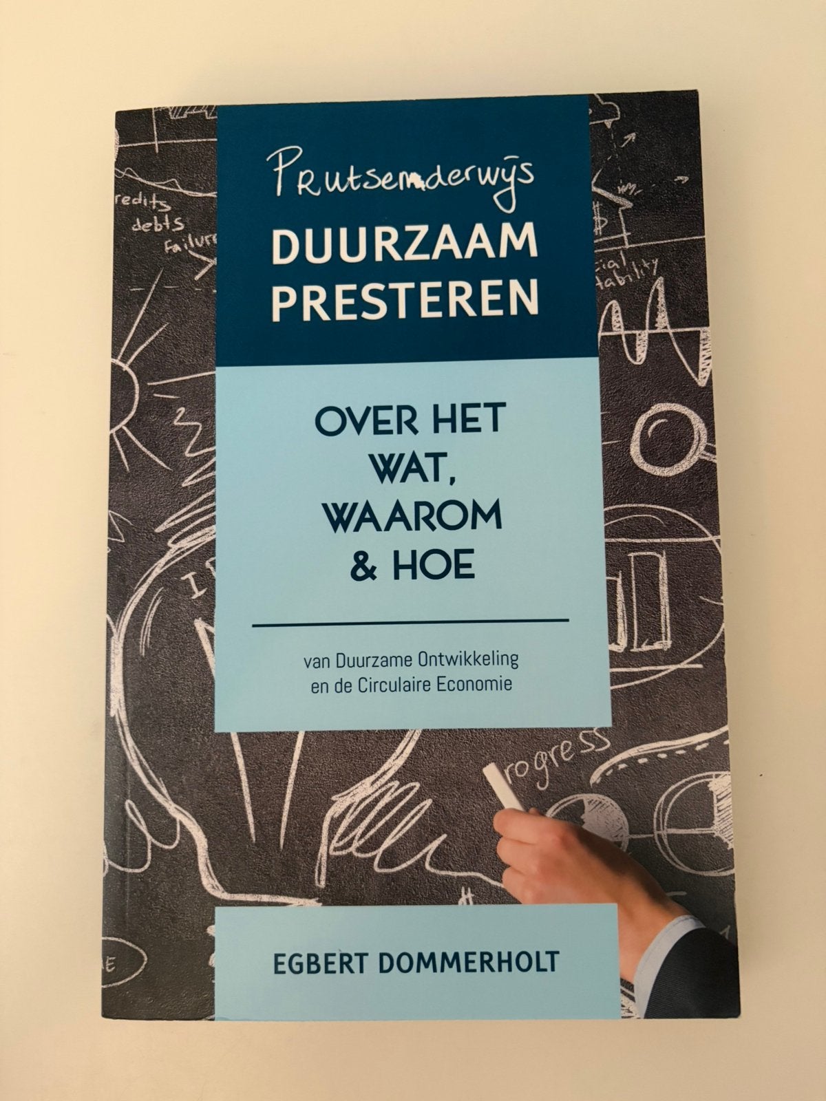 Egbert Dommerholt - Prutsenderwijs duurzaam presteren, Economie, Nieuw, Ophalen of Verzenden, Egbert Dommerholt
