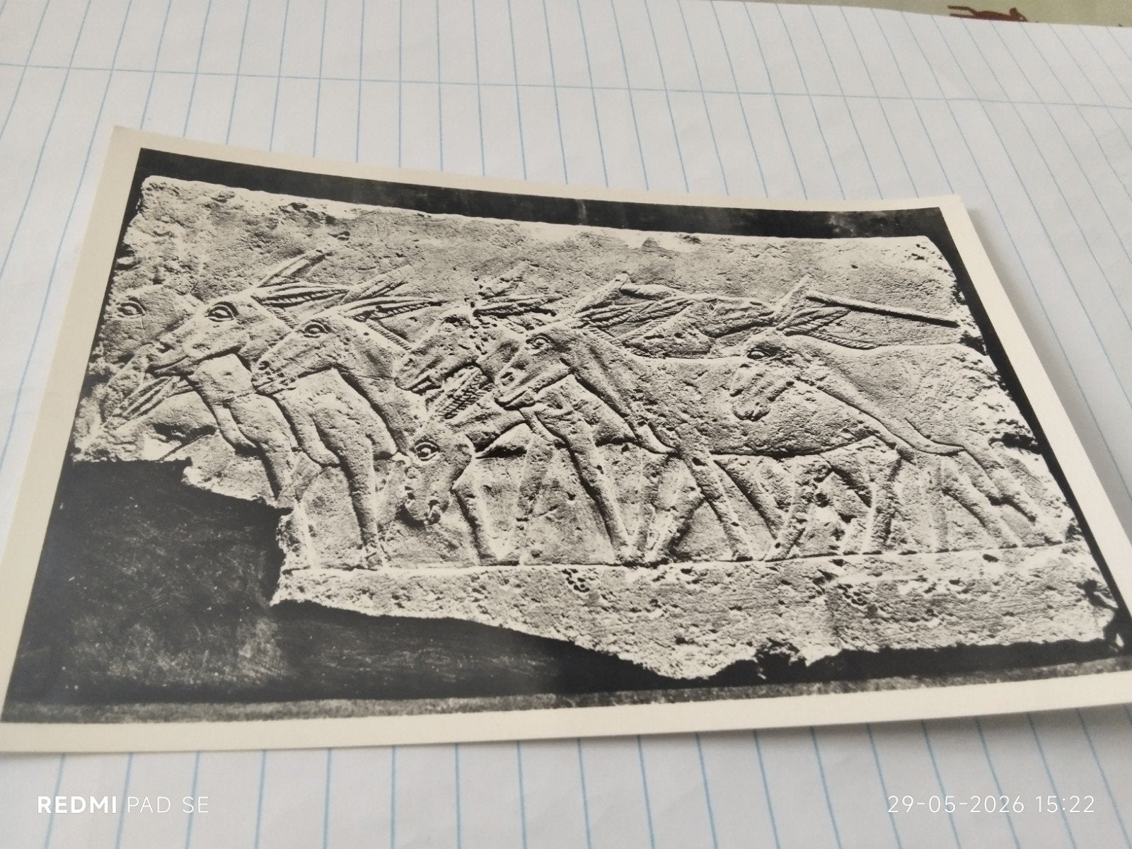 Oude Ansichtkaart: Egyptisch reliëf met ezels, Rijksmuseum, Ophalen of Verzenden, Voor 1920