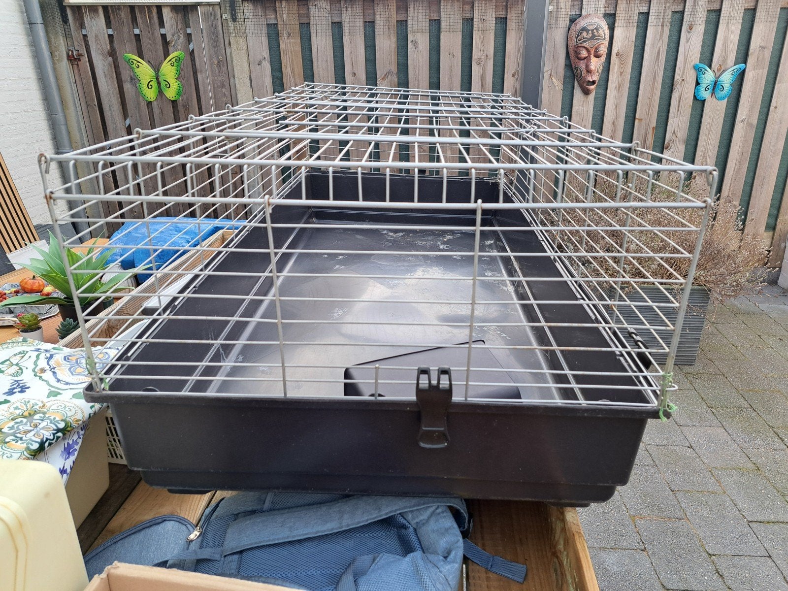 knaagdieren kooi, Kooi, 110 cm of meer, Cavia, Zo goed als nieuw