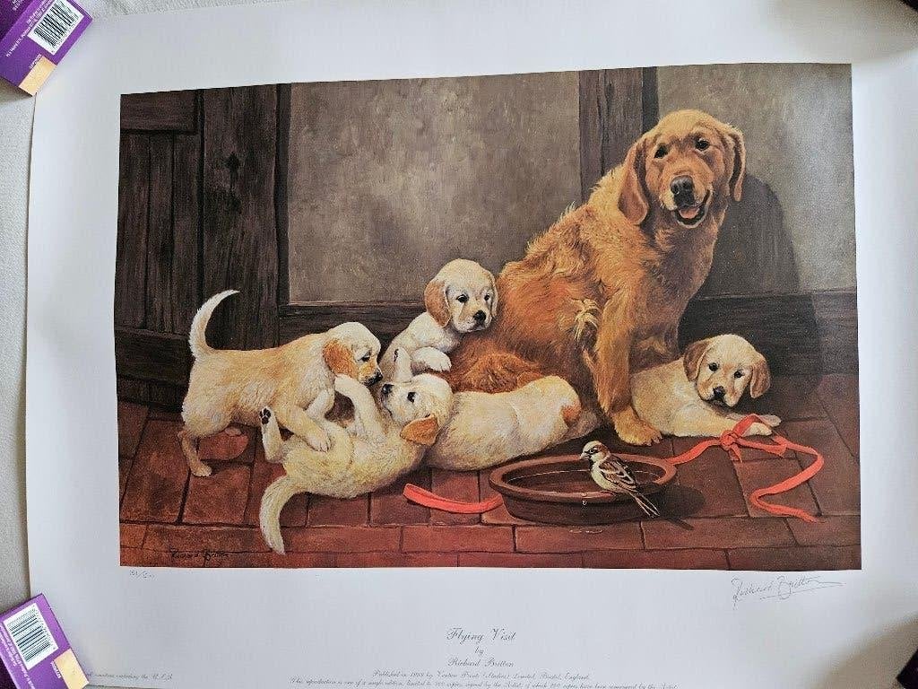 R.Britton FLYING VISIT Golden Retriever gelimiteerd/getekend, Realistisch, Dieren, Ophalen of Verzenden, Gesigneerd