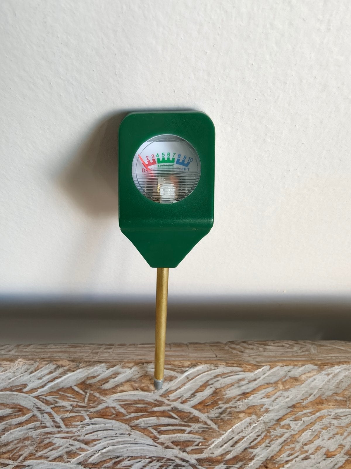 Korte watermeter voor bonsai of plant, Tuin en Terras, Bloeit niet, Halfschaduw, Minder dan 100 cm, Overige soorten